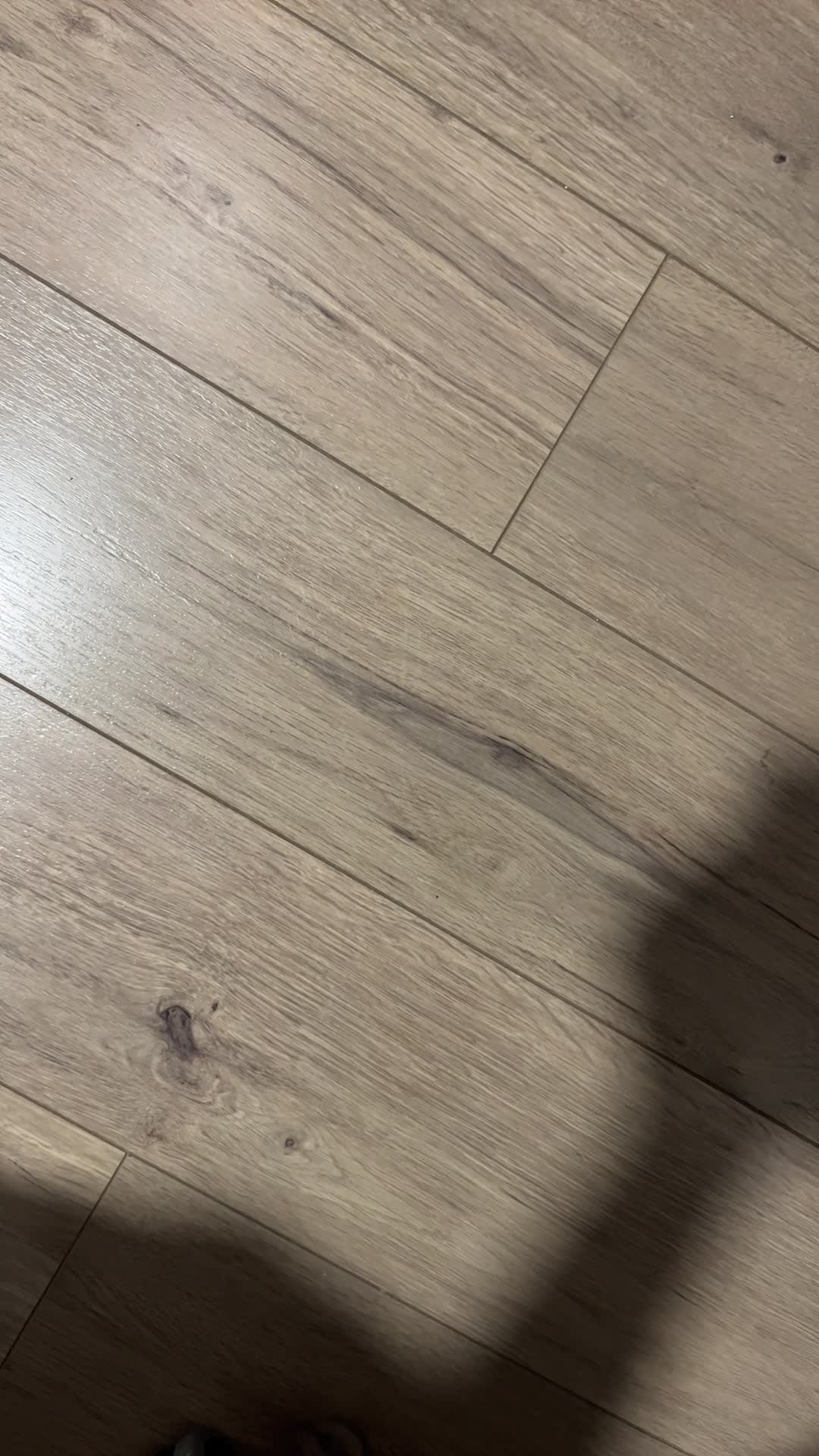 La felinare