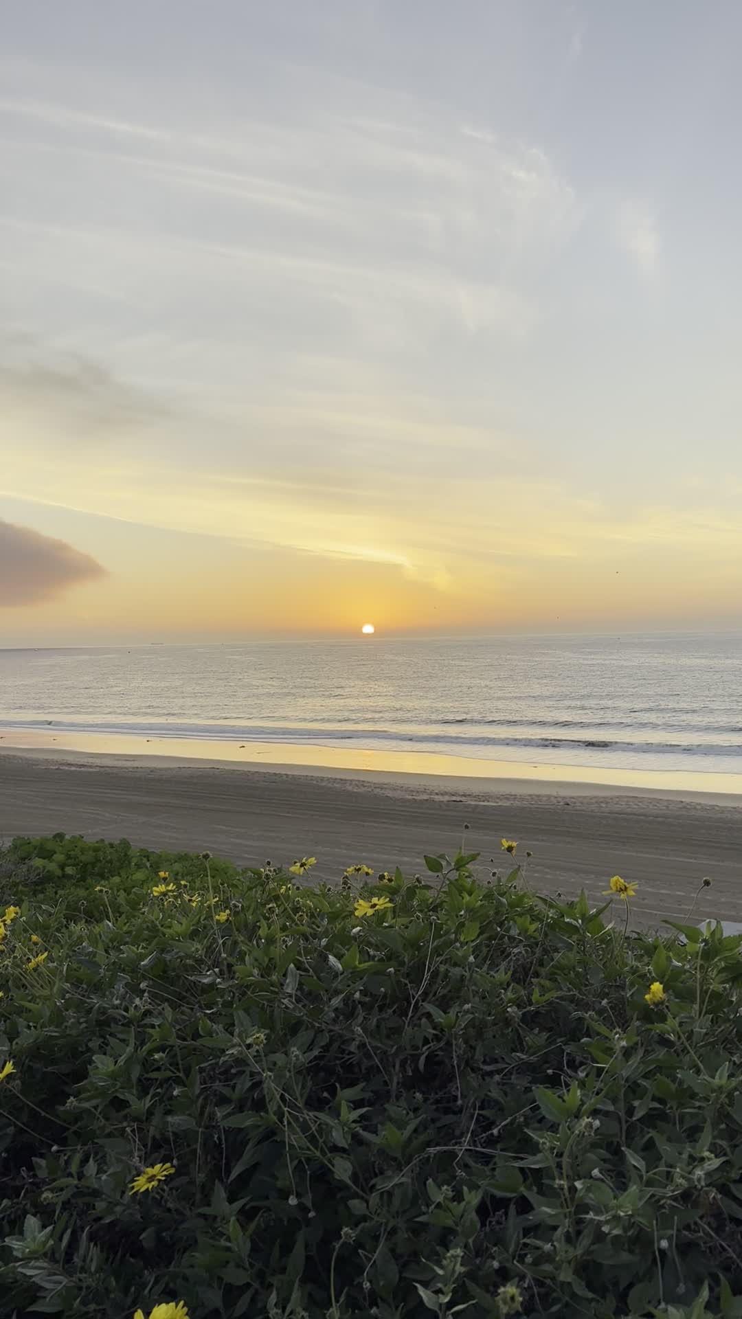City Moment · Redondo Beach