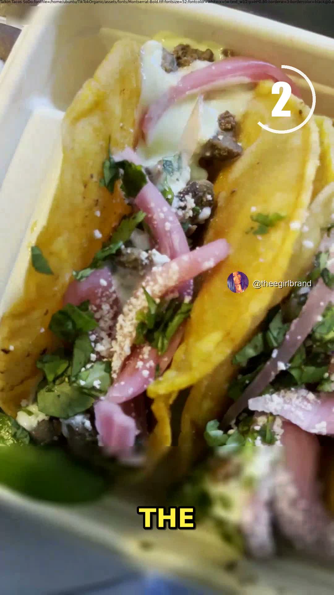 Taco Kat